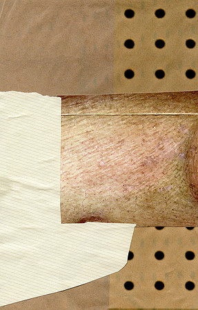 CAT 545vi, Viareggio Pink vi, paper collage, 2011, c.25X18cm.jpg