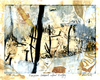 CAT 597 R7, After the Simpson Desert R7, 2015, mixed medium on paper.JPG