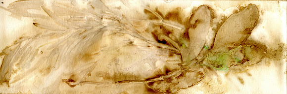 CAT 589 G11, After the Simpson Desert G11, 2015, mixed medium on paper.JPG