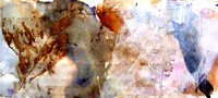 CAT 588 F8, After the Simpson Desert F8, 2015, mixed medium on paper.JPG