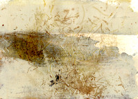 CAT 598 S10, Lake Eyre, 2015, mixed medium on paper