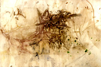 CAT 594 N2, After the Simpson Desert N2, 2015, mixed medium on paper.JPG