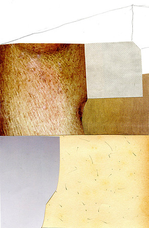 CAT 545ix, Viareggio Pink ix, paper collage, 2011, c.25X18cm.jpg