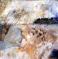 CAT 593 M2, After the Simpson Desert M2, 2015, mixed medium on paper.JPG