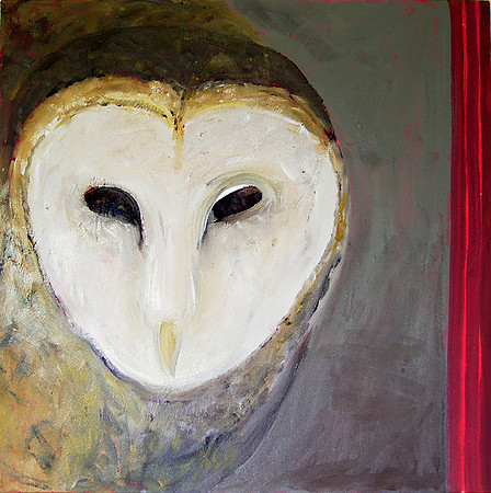 CAT 660 vi Inquisitive Masked Owl, 2017, oil on board, 60X60cml